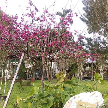 Bed and Breakfast Sun Moon Lake Wild Flower Юйчі Екстер'єр фото